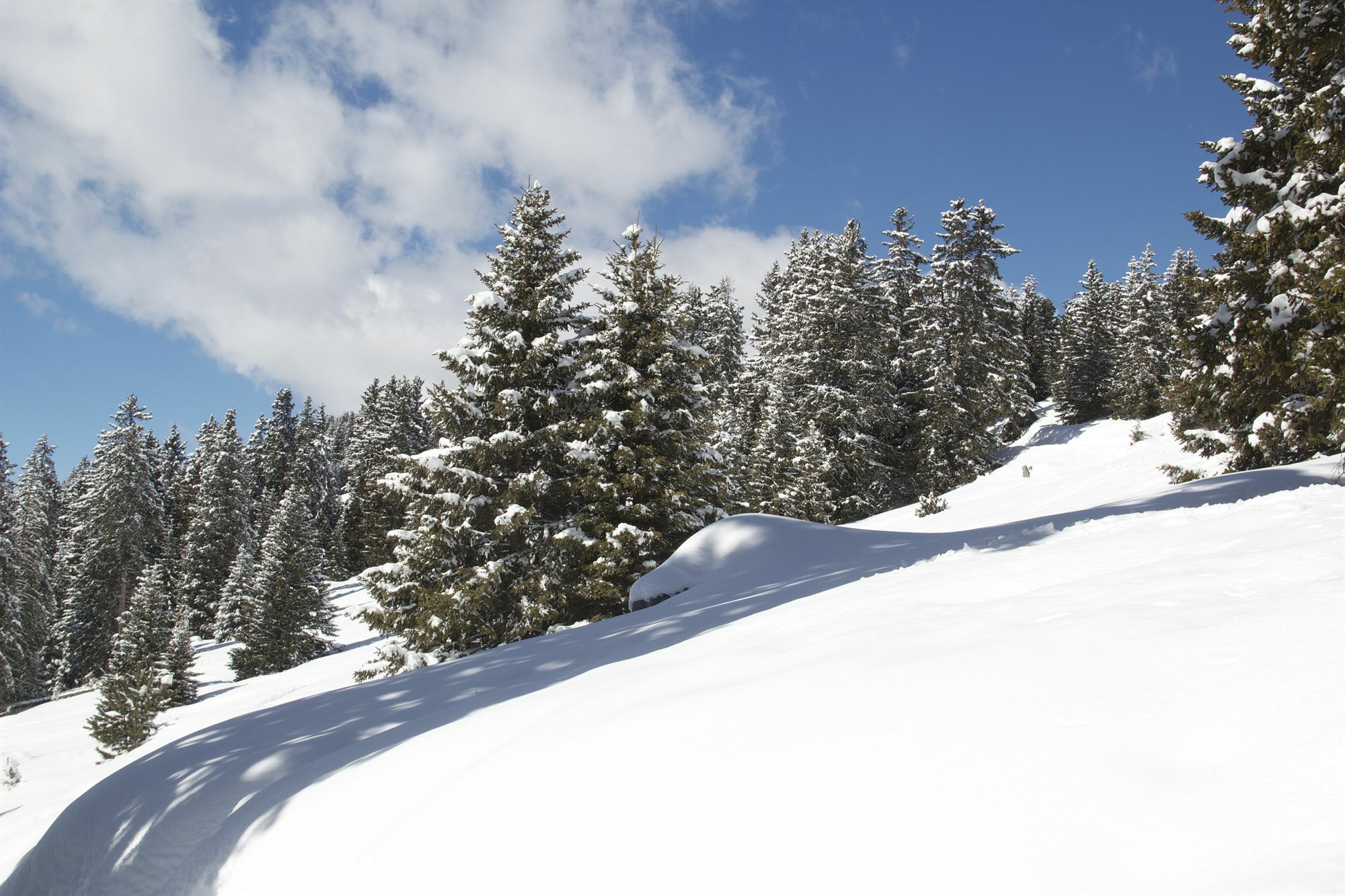 Hotel Cir Selva di Val Gardena Dış mekan fotoğraf